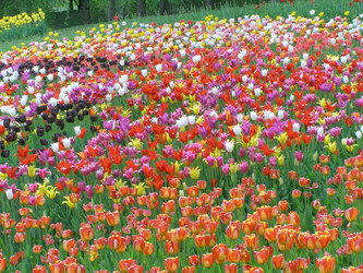 Similar image 656010