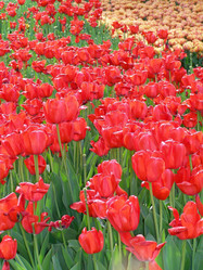 Similar image 656011