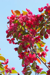 Similar image 656012