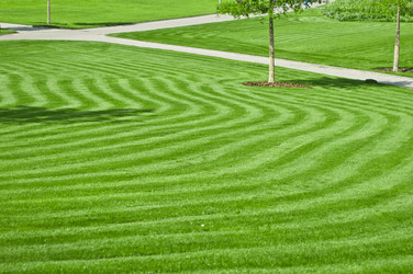 Similar image 656023