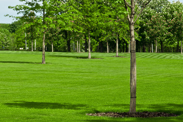 Similar image 656025