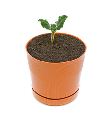 Similar image 656042