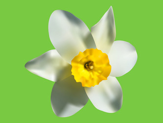 Similar image 656057