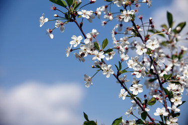 Similar image 656064