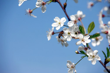 Similar image 656065