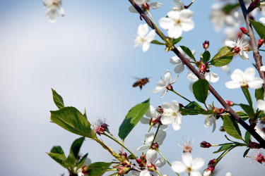 Similar image 656066