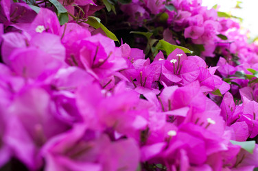 Similar image 656073