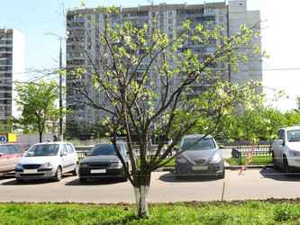 Similar image 656143