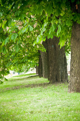 Similar image 656324