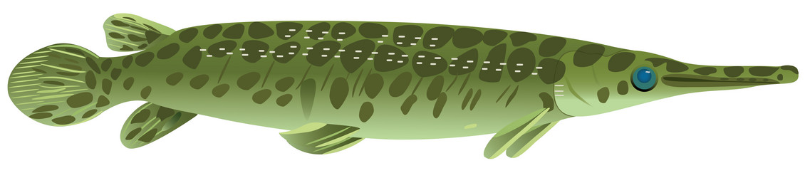 Similar image 656417