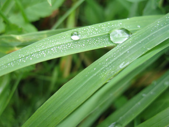 Similar image 656480