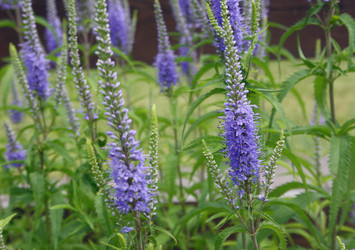 Similar image 656484