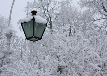 Similar image 656688