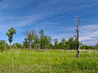 Similar image 656746