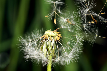 Similar image 656829