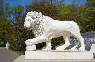 Similar image 656907