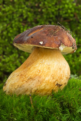 Similar image 656949