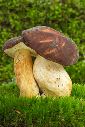 Similar image 656950