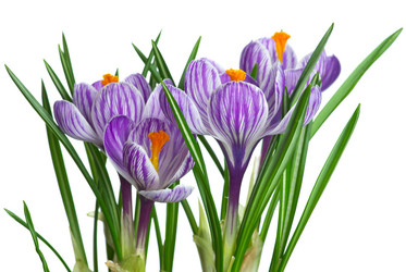 Similar image 656970