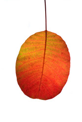 Similar image 656976