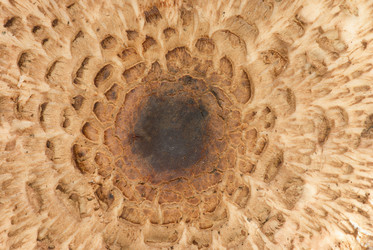 Similar image 656999