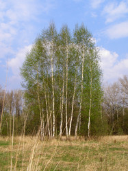 Similar image 657035