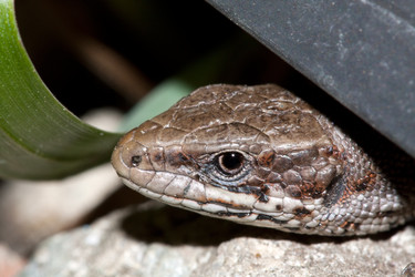 Similar image 657036