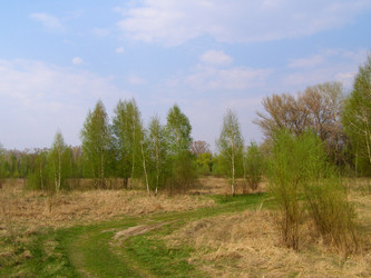 Similar image 657040