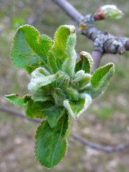 Similar image 657046