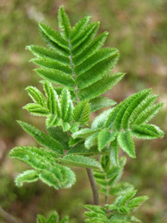 Similar image 657050