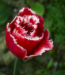 Similar image 657064