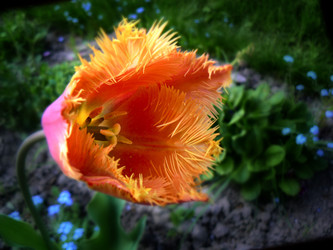 Similar image 657065