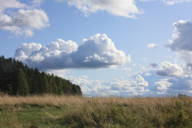 Similar image 657108