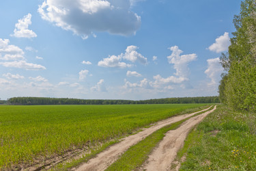 Similar image 657118