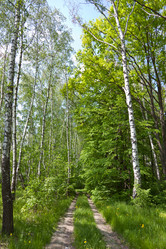 Similar image 657126