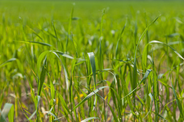 Similar image 657136