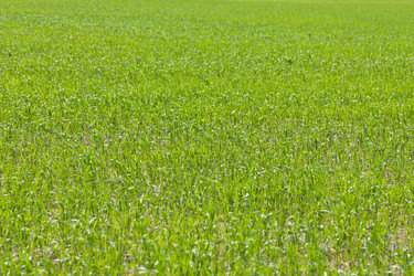 Similar image 657141