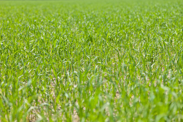 Similar image 657144