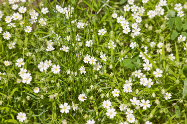 Similar image 657165