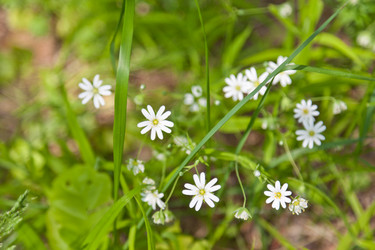 Similar image 657169