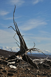 Similar image 657182