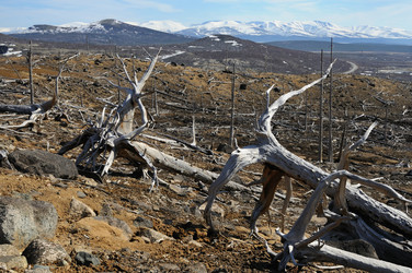 Similar image 657184