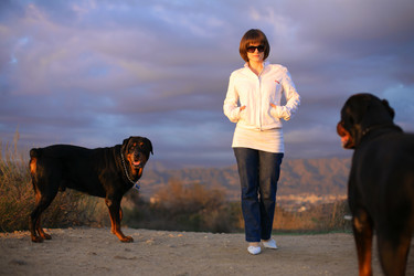 Similar image 657227