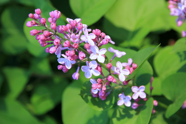 Similar image 657236