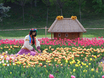 Similar image 657263