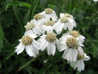 Similar image 657288