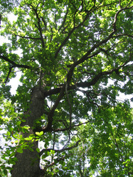 Similar image 657297