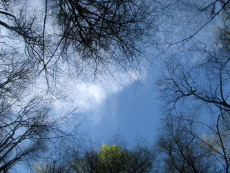 Similar image 657298