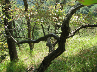 Similar image 657300