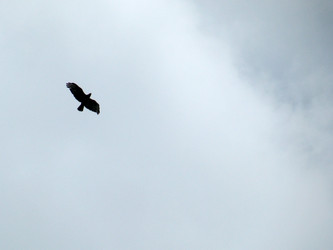 Similar image 657303